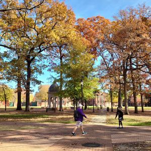 Image post by @ecuvb on Instagram