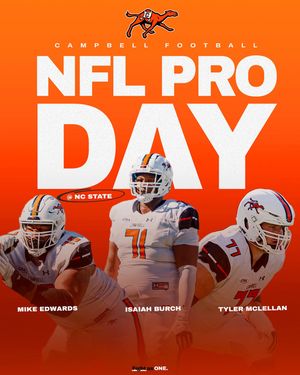 Image post by @gocamelsfb on Instagram