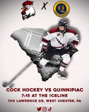 Image post by @cockhockey on Instagram