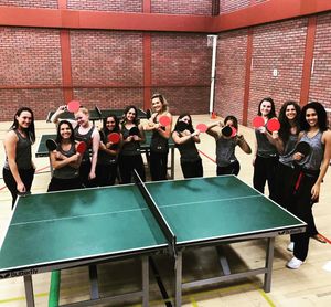 Image post by @walesnetball_ on Instagram