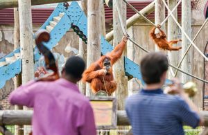 Image post by @nolanews on Instagram