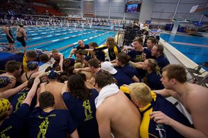 Image post by @wvuswimdive on Instagram