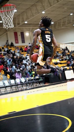Video post by @uapblionsroar on Instagram