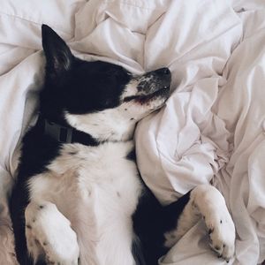 Image post by @zofeeagenota on Instagram