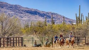 Video post by @arizonatourism on YouTube