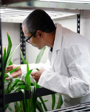 Image post by @utrgv on Instagram