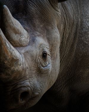 Image post by @discovery on Instagram