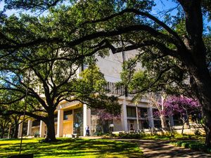 Image post by @utaustintx on Instagram