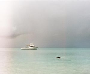 Image post by @camilleshaw on Instagram