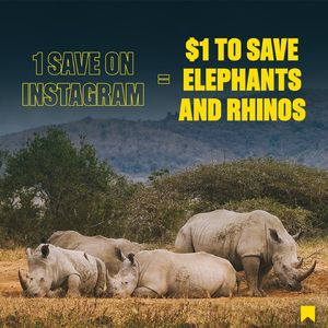 Image post by @omaze on Instagram