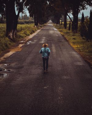 Image post by @moment on Instagram