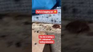 Video post by @cbsmornings on YouTube