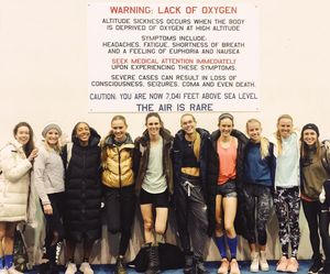 Image post by @steeple_squigs on Instagram