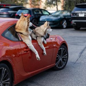 Image post by @justbac on Instagram