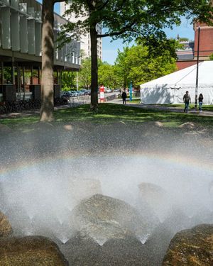 Image post by @harvard on Instagram