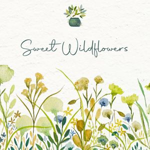 Image post by @shirtacle on Instagram