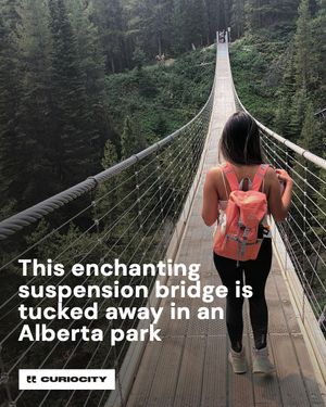 Image post by @curiocitycalgary on Instagram