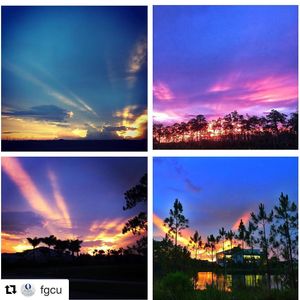 Image post by @fgcu_vb on Instagram