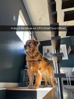 Video post by @freshtapemedia on TikTok