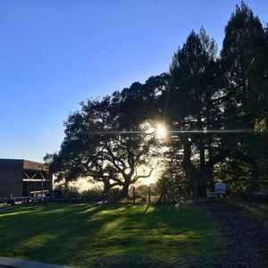 Image post by @ucsc on Instagram