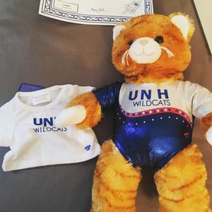 Image post by @unhgymnastics on Instagram