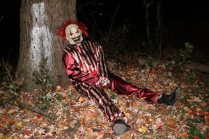 Image post by @laurenhertle_photos on Instagram