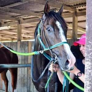 Image post by @australianturfclub on Instagram