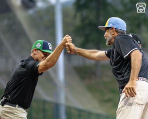 Image post by @littleleague on Instagram