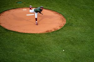 Image post by @BCBirdBall on Twitter