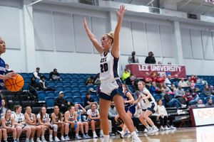 Image post by @leeuwbb on Instagram