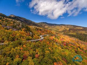 Image post by @NelsonAerials on Twitter