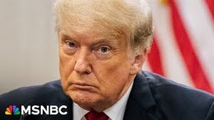 Video post by @msnbc on YouTube