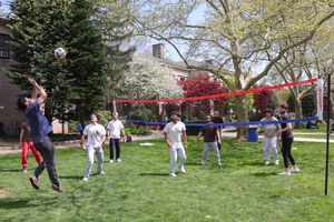 Image post by @hofstrau on Instagram