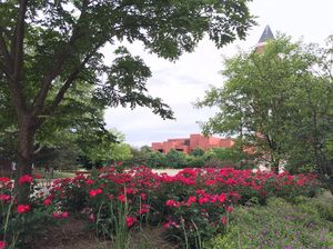 Image post by @ballstatemedia on Instagram