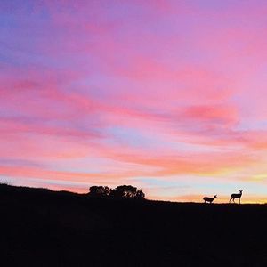 Image post by @ucsc on Instagram