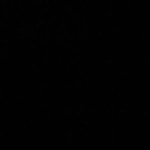 Image post by @maddyforberg on Instagram