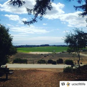 Image post by @ucsc_athrec on Instagram