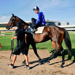 Image post by @australianturfclub on Instagram