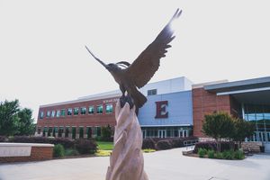 Image post by @elonmbasketball on Instagram