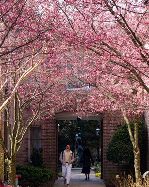 Image post by @hofstrau on Instagram