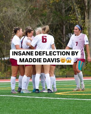 Image post by @leeuwsoccer on Instagram