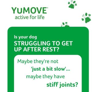 Image post by @yumove_usa on Instagram