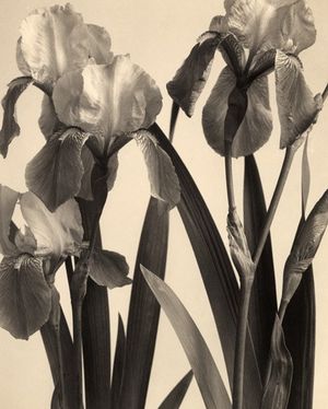 Image post by @newarkmuseumart on Instagram