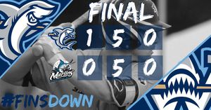 Image post by @ilmsharks on Instagram