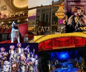 Image post by @playhousesquare on Instagram