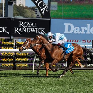 Image post by @australianturfclub on Instagram