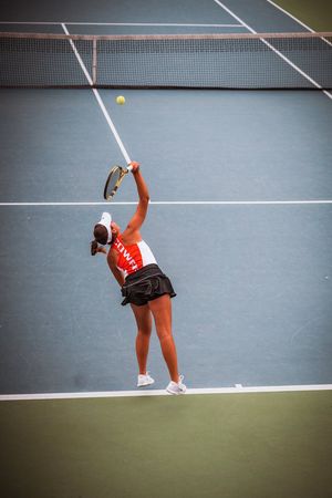 Image post by @CowgirlTennis on Twitter