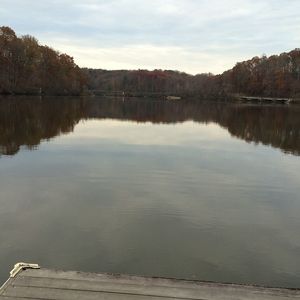 Image post by @uvarowing on Instagram