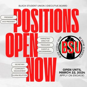 Image post by @bsustetson on Instagram