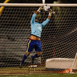 Image post by @ariannagrainey on Instagram